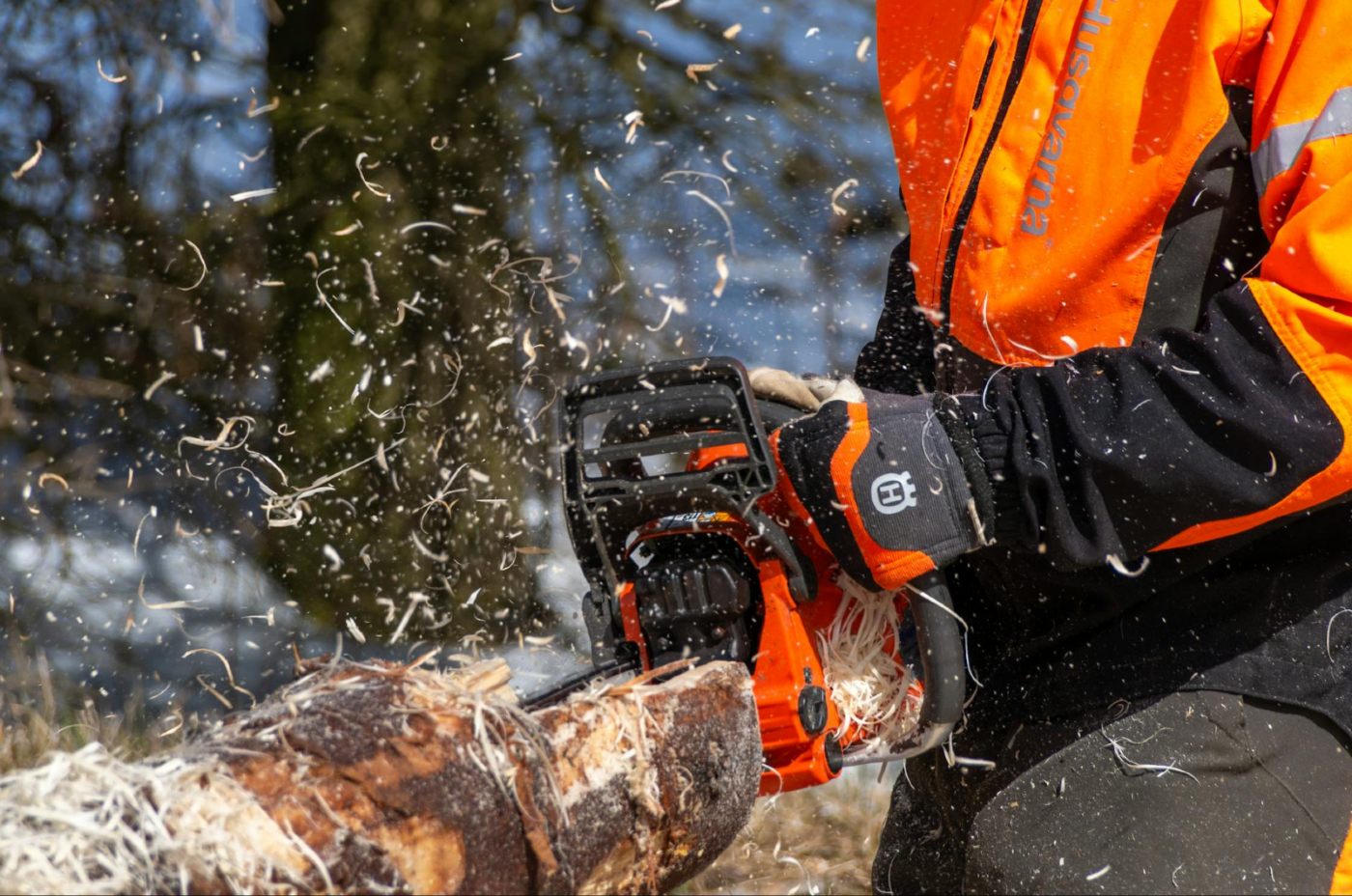 Træfældning af arborist